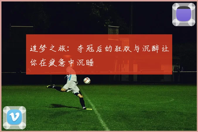 追梦之旅：夺冠后的狂欢与沉醉让你在疲惫中沉睡